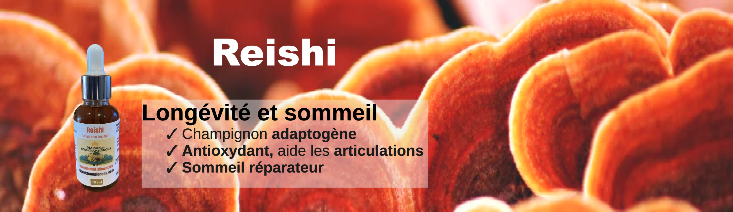 Reishi Champignon de longévité et du sommeil ✓ champignon adaptogène fonctionnel ✓ Antioxydant, aide les articulations ✓ Sommeil réparateur